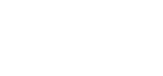 The Bashful Bison Market log in White